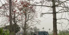 Hãng khác Khác 2005 - Chính chủ bán xe Vitara 2005 giá 120 triệu tại Hà Nội