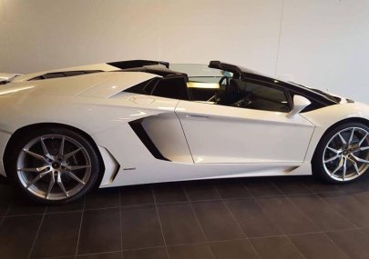 Lamborghini Aventado 2016 - Bán xe Lamborghini Aventado đời 2016, màu trắng, nhập khẩu