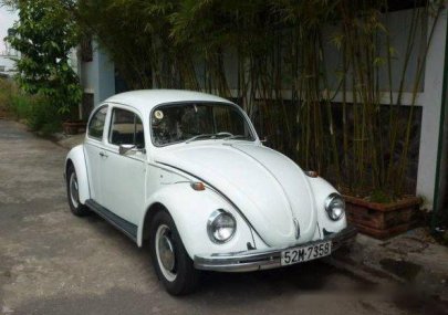 Volkswagen Beetle   1980 - Bán xe Volkswagen Beetle 1980, màu trắng, nhập khẩu  