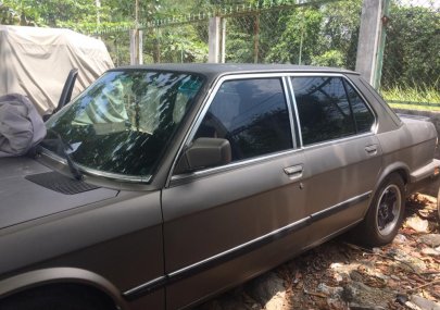 BMW 5 Series 1987 - Bán BMW 5 Series 1987, màu xám (ghi), xe nhập