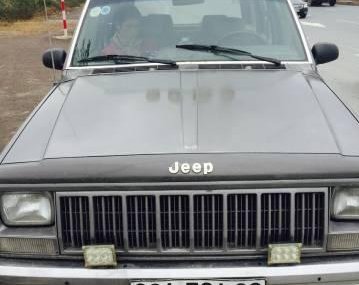 Jeep Cherokee 1995 - Cần bán gấp Jeep Cherokee đời 1995