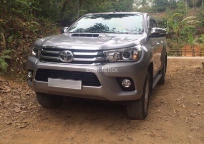 Toyota Hilux G 2015 - Bán Toyota Hilux G sản xuất năm 2015, màu bạc, nhập khẩu, giá chỉ 700 triệu