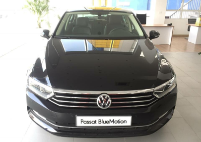 Volkswagen Passat Bluemotion 2018 - Bán Passat Bluetion 2018, giá 1 tỉ 360 triệu, LH 0921133889