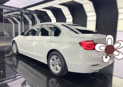 BMW 3 Series 320i 2016 - Bán ô tô BMW 3 Series 320i sản xuất 2016, màu trắng