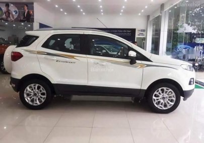 Ford EcoSport  1.5 Titanium   2017 - Bán Ford EcoSport 1.5 Titanium sản xuất 2017, màu trắng, giá tốt