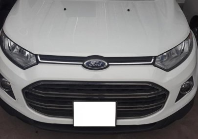 Ford EcoSport Titanium 2014 - Bán ô tô Ford EcoSport Titanium sản xuất năm 2014, màu trắng