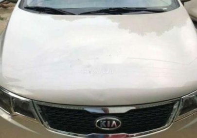 Kia Forte   2013 - Cần bán Kia Forte năm 2013, đã lên nhiều đồ chơi tốn kém