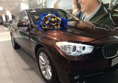 BMW 5 Series 2017 - Bán xe BMW 5 Series 2017, màu nâu, xe còn nguyên bản