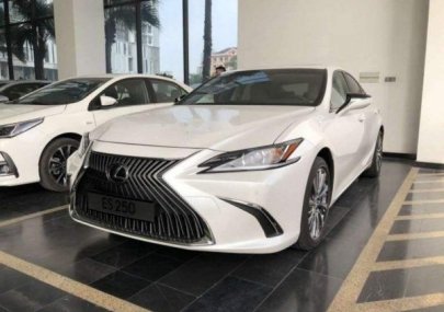 Lexus ES 250 2019 - Lexus Thăng Long - Cần bán xe Lexus ES 250 2019, màu trắng, xe nhập