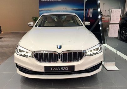 BMW 5 Series 520i 2018 - Bán ô tô BMW 5 Series 520i đời 2018, màu trắng, nhập khẩu nguyên chiếc